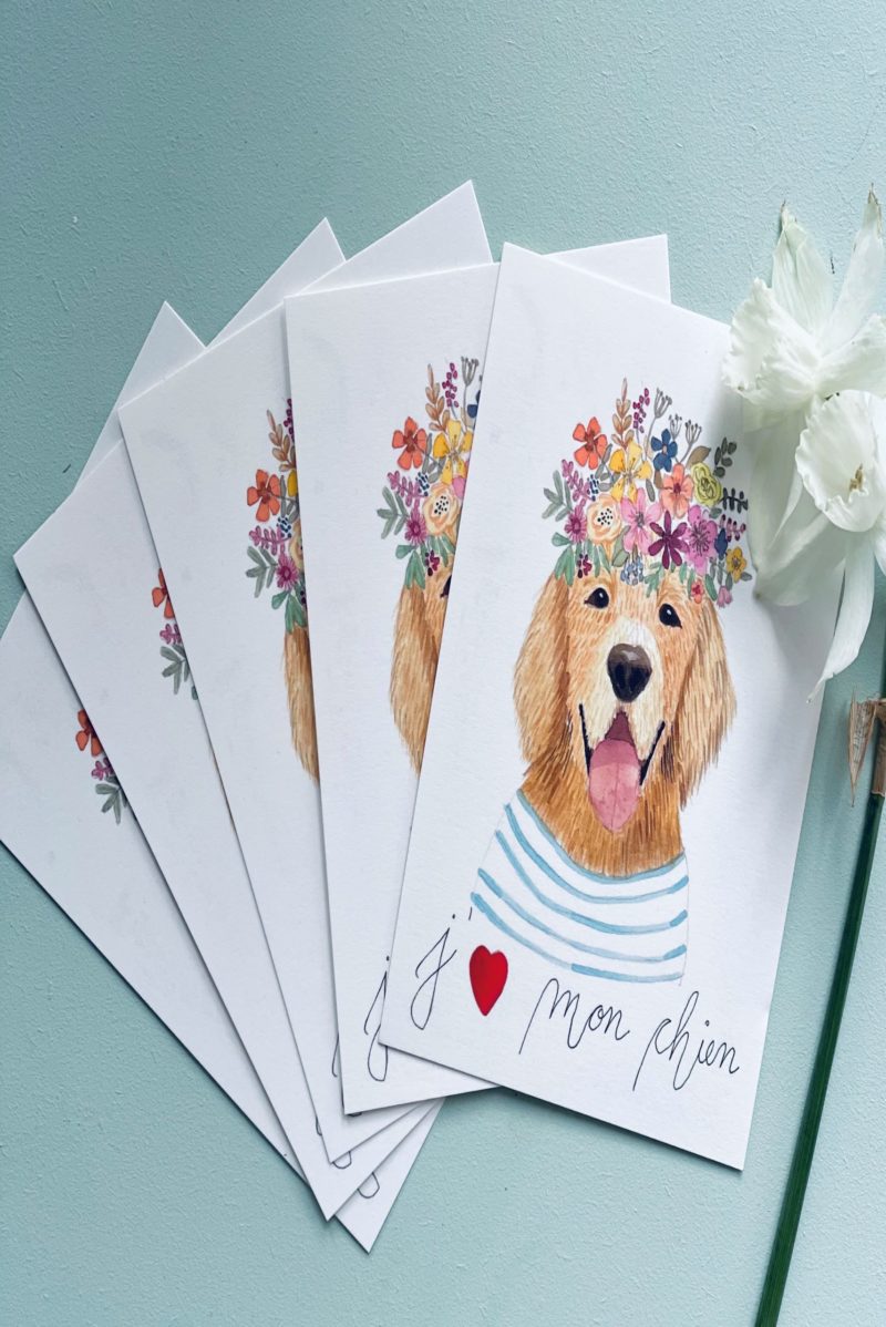 Pack 5 Goldie Postal Cards