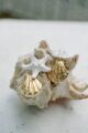 WHITE STARFISH HANDMADE EARRINGS